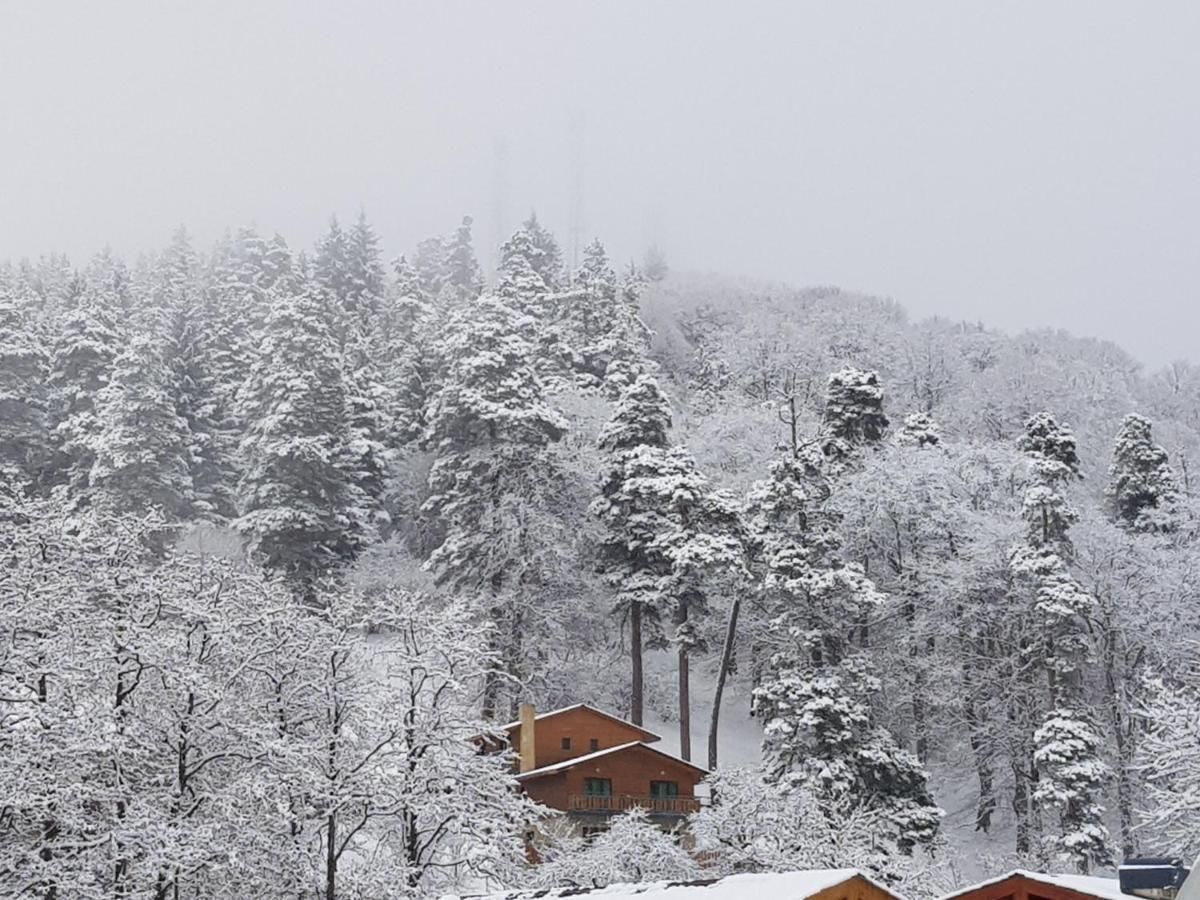 Villa A Barleon Бакуриани Екстериор снимка