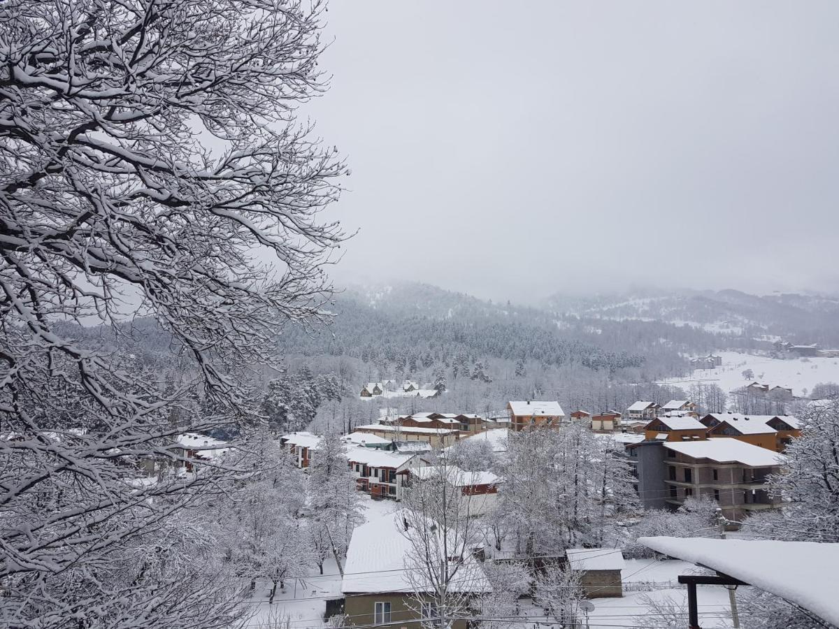 Villa A Barleon Бакуриани Екстериор снимка